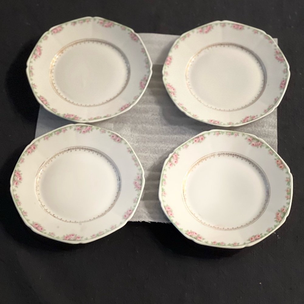 Bavaria- Elegant Floral Dinner Plates Set